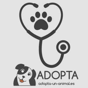 veterinario ADOPTA Sitios Pet Friendly